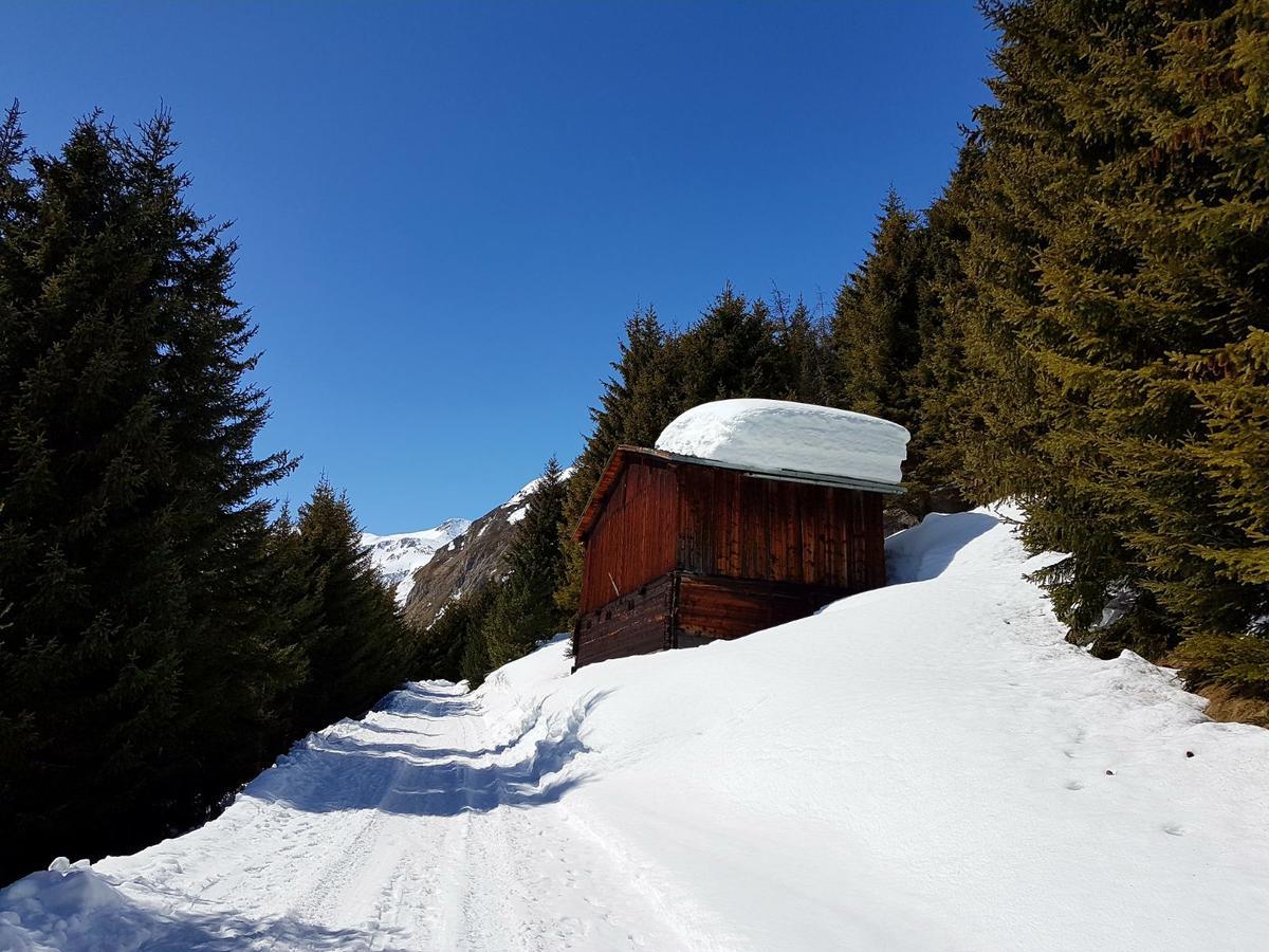Mountain Lodge セドルン エクステリア 写真